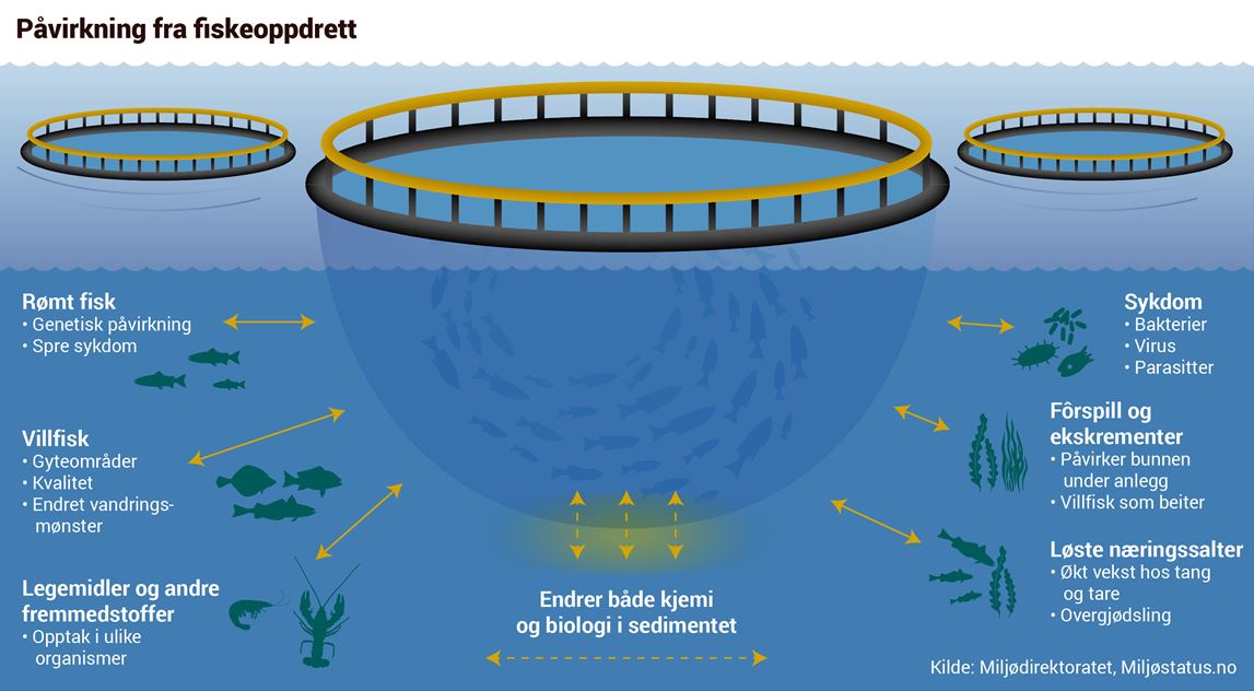 Påvirkning fra et fiskeoppdrettsanlegg. Kilde: Miljødirektoratet. Miljøstatus.no