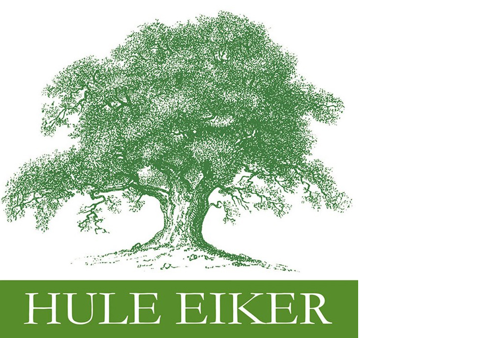 Hule eiker er en utvalgt naturtype. Foto: Statsforvalteren i Vestfold og Telemark. Hule eiker er en utvalgt naturtype.